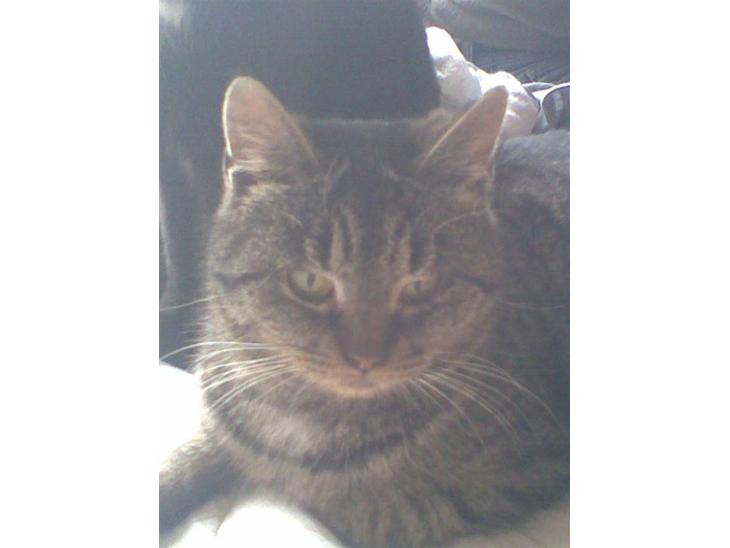 {{currentPhoto.altText}} billede {{currentPhoto.number}}