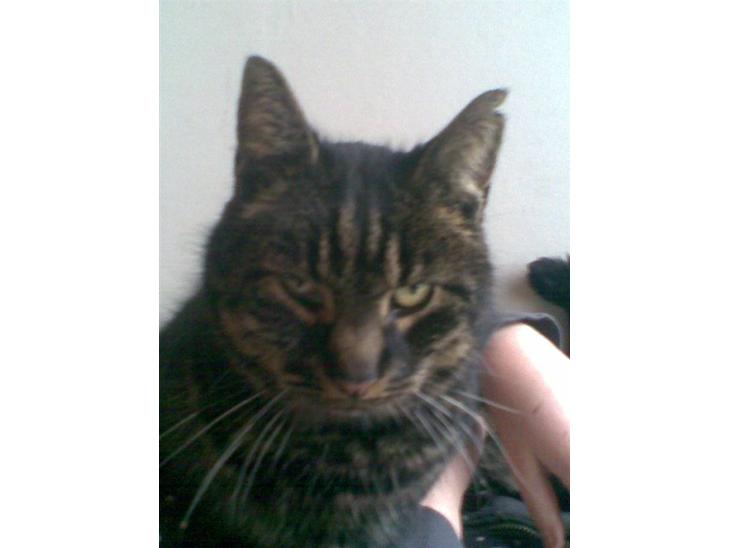 {{currentPhoto.altText}} billede {{currentPhoto.number}}