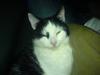 Huskat Bidbid (Bit-bit)