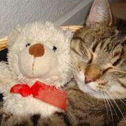 Blanding af racer Misseling