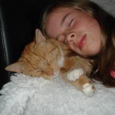 Blanding af racer Svip"R.I.P."