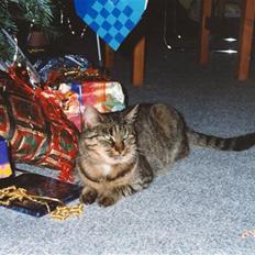 Huskat Mille R.I.P :'(