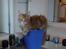 Maine Coon Ramses - Ramses i hvad der er tilbage af en ret så stor stue-bambus. Som det fremgår er denne plante besejret på en måde få planter er blevet besejret før!!