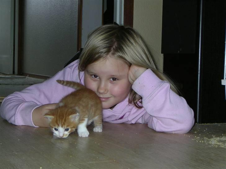 Blanding af racer Figaro - Her er han med Malene billede 4