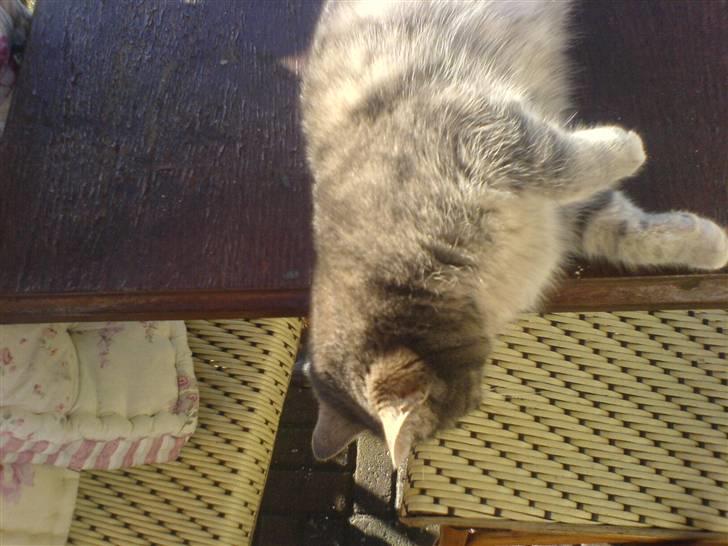 Huskat Timi - gud ! pas p du ikk falder ned min skat (; billede 3