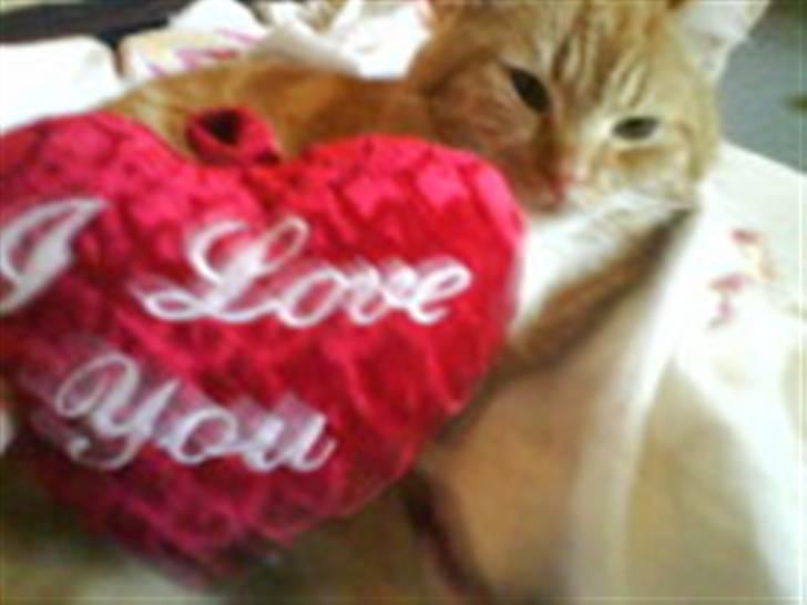 Huskat Maxi *givet væk* <33 - Velkommen til Maxi´s profil billede 1