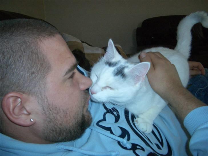 Huskat Miver billede 3