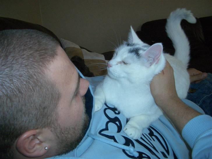 Huskat Miver billede 4