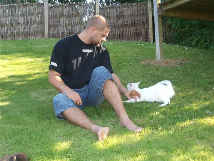 Huskat Miver billede 10