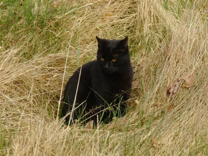 Huskat Millions | †Minni† | billede 10