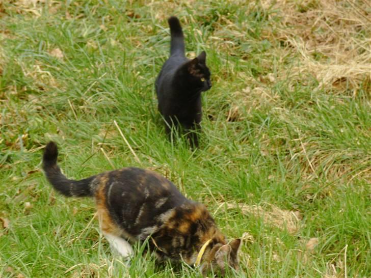 Huskat Millions | †Mille† | - Mig og mor :-D billede 19