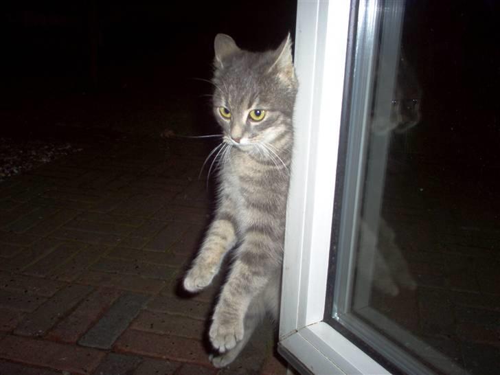 Huskat Timi - "se mor jeg kan stå ! helt selv" billede 14