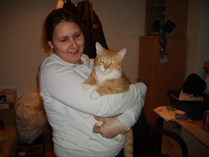 Huskat Bandit billede 19