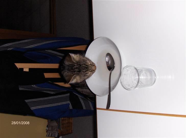 Huskat Big Foot - "lidt suppe mm smager godt.." billede 11