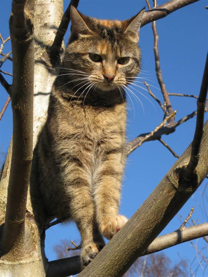 Huskat frida - Velkommen til min profil =) HUSK at give en bedømmelse  billede 1