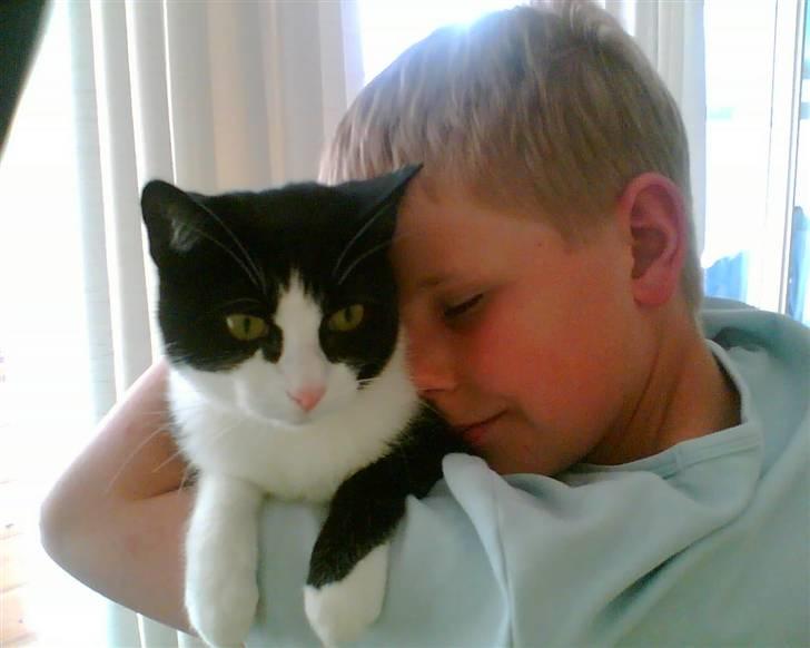 Huskat Felix - Felix Med Miin store Bror (: billede 14