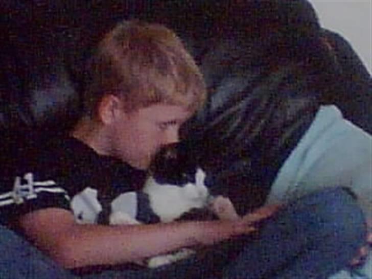 Huskat Felix - De Sidder da lige og Hygger (: billede 15