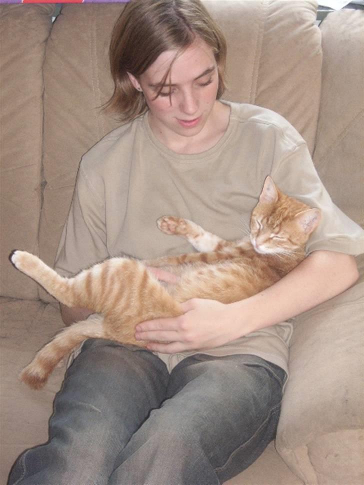 Huskat garfield *R.I.P* - her ligger jeg ved min *mor* og sover billede 6