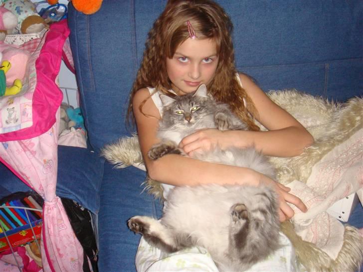 Huskat Mille - Og den anden mis :D Hygger lige lidt hos säster billede 6