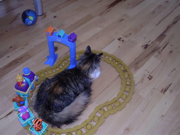 Blanding af racer Chanelle - hmmm hvordan kommer jeg ud igen billede 15