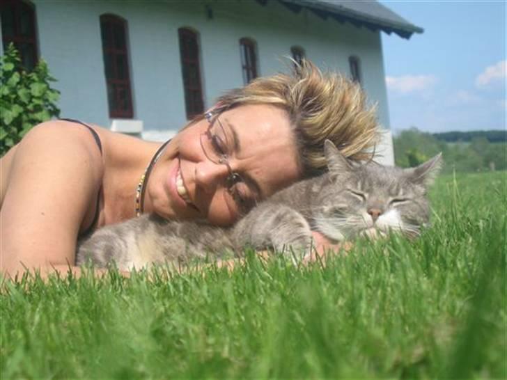 Perser Clara - R.I.P - Mor med en anden kat...:-) billede 17