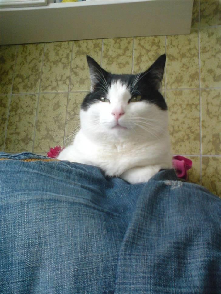 Blanding af racer Rosa FR <3 - Rosa på mit tøj i vores badeværelse. :) billede 11