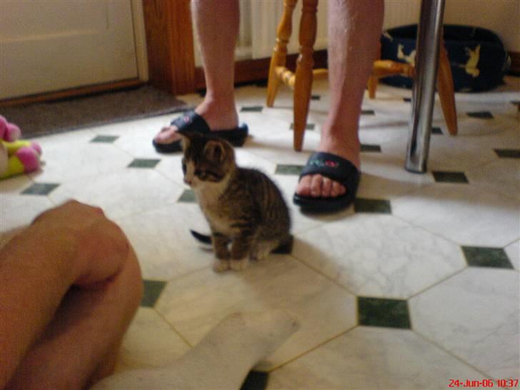 Huskat Willy - Willy som baby... billede 8