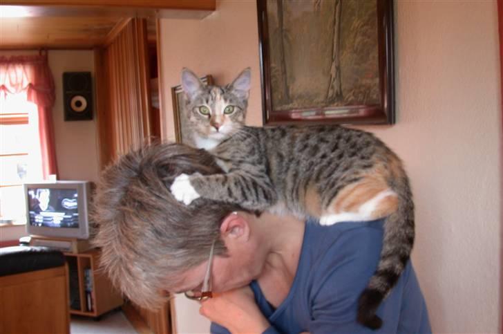 Huskat Mitzy - Hvad er der galt ??? ;0) billede 5