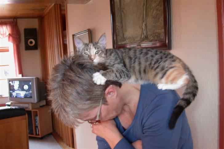 Huskat Mitzy - Ahhh..... billede 6