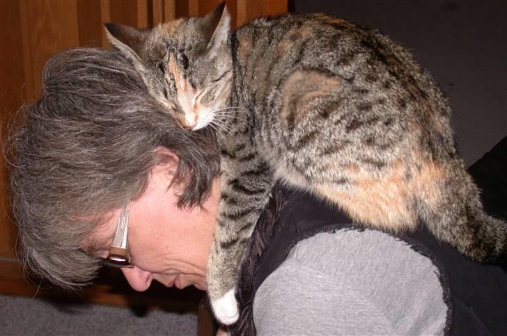 Huskat Mitzy billede 8