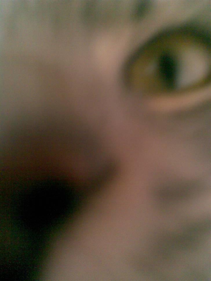 Blanding af racer turbo r.i.p  - Hallo er der nogle..? billede 14