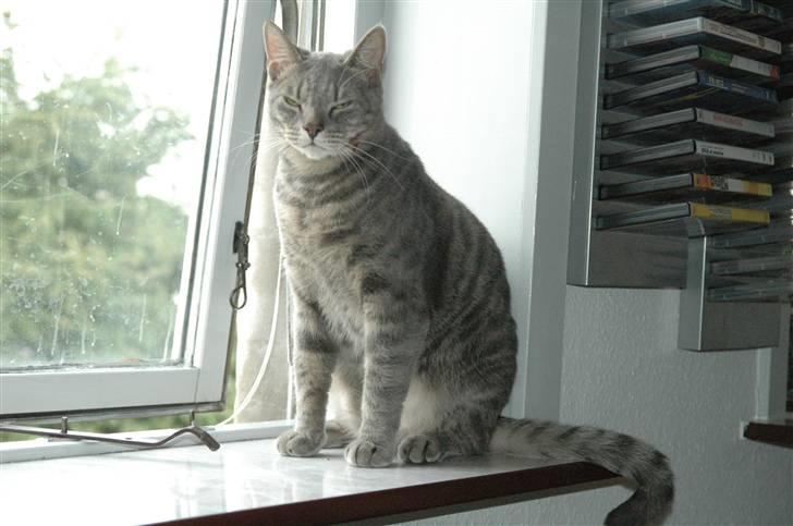 Blanding af racer turbo r.i.p  - ny billede 16