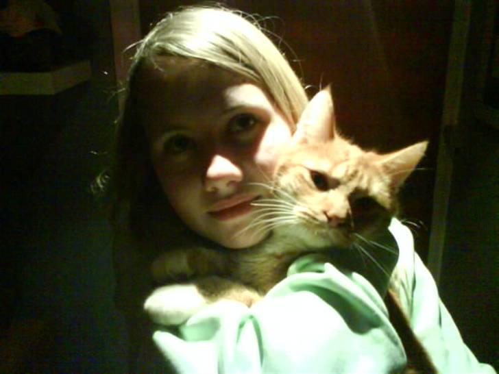 Huskat Garfield  "Savnet" billede 18