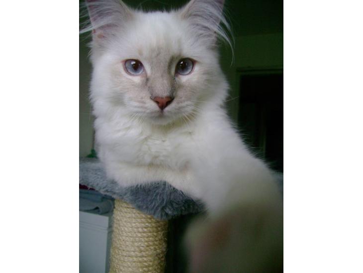 {{currentPhoto.altText}} billede {{currentPhoto.number}}