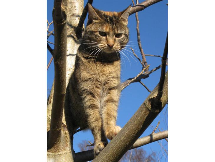 Huskat frida - Velkommen til min profil =) HUSK at give en bedømmelse  billede 1