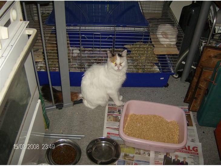 {{currentPhoto.altText}} billede {{currentPhoto.number}}