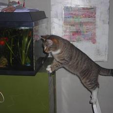 Huskat stwart *hjemme igen :D<3