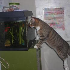 Huskat stwart *hjemme igen :D<3