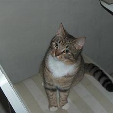 Huskat stwart *hjemme igen :D<3