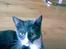 Huskat Miz Dolly <33 - Hun er Sq da en dejlig miz <33