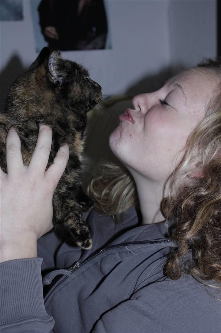 Blanding af racer Luna <3 - Julie elsker mig :D billede 5