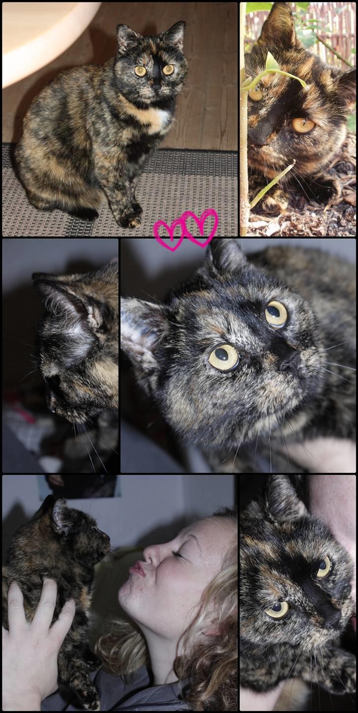 Blanding af racer Luna <3 - Mix xD billede 12