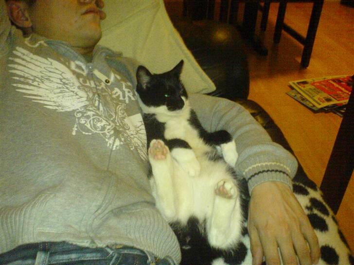 Huskat Pelle - far og mig putter og ser tv billede 5