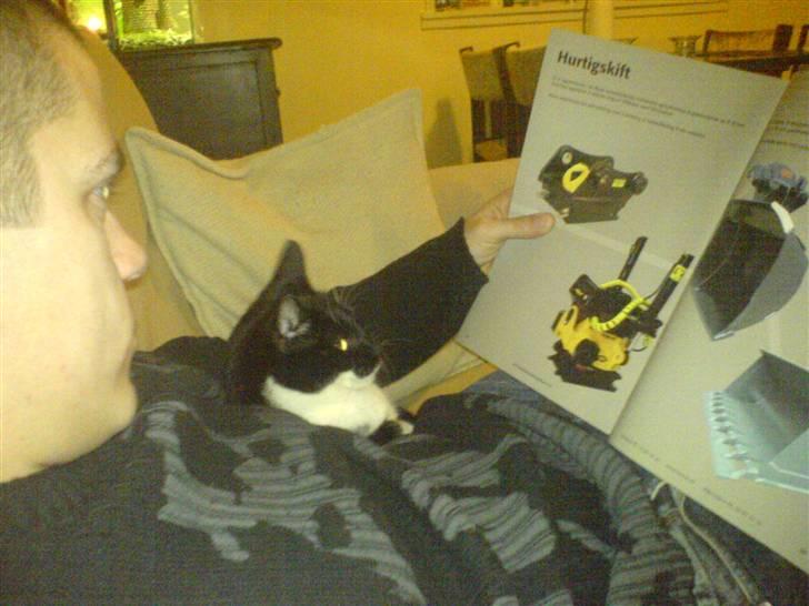 Huskat Pelle - jeg kigger lige med hvad vi skal have her billede 6