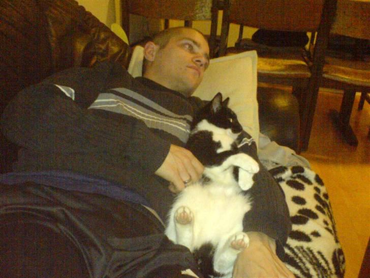 Huskat Pelle - dejligt billede 7