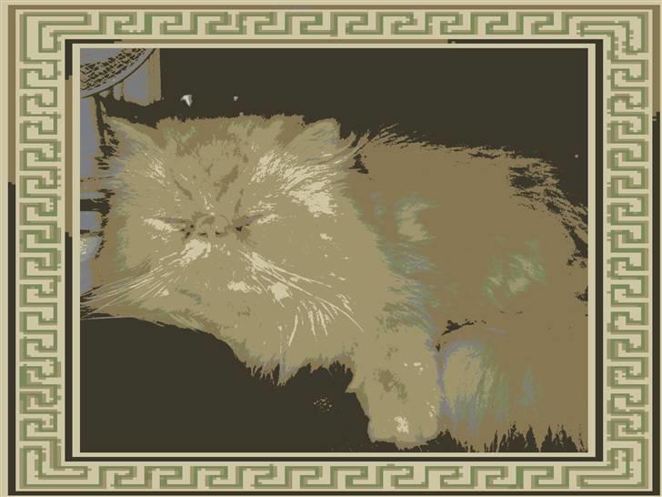 Perser AA    (Dior) billede 11