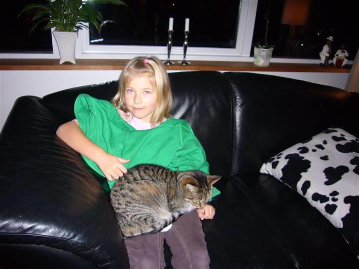 Huskat tulle - det er min lillesøster der sidder med min kat tulle  billede 3