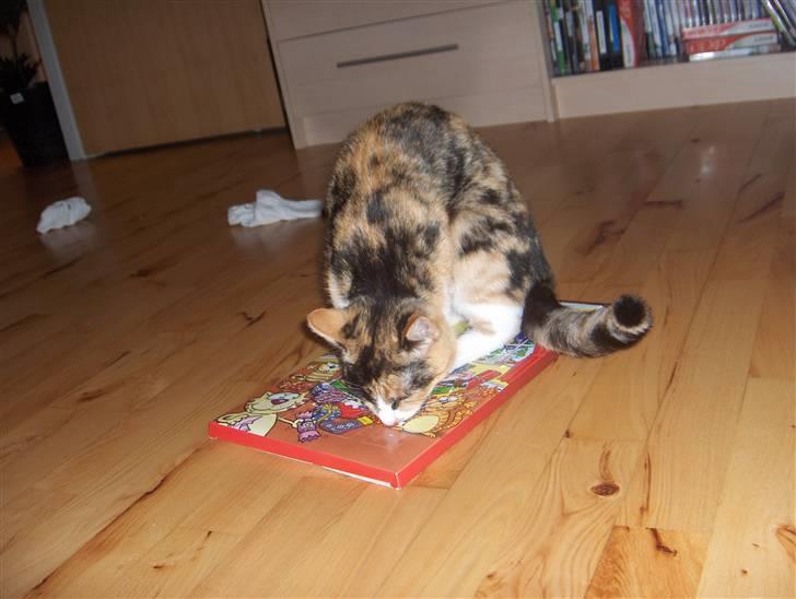 Huskat Nala - Det er MIN julekalender!! billede 18