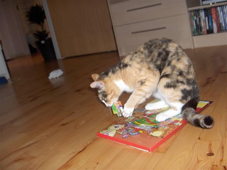 Huskat Nala - Jeg har 5 unger der suger mig for energi... GI MIG SÅ DET CHOKOLADE!! billede 19