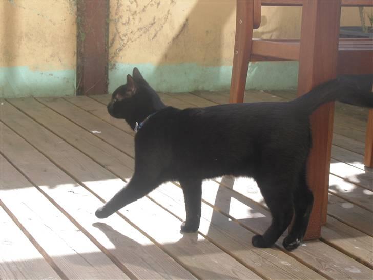 Huskat mio billede 3